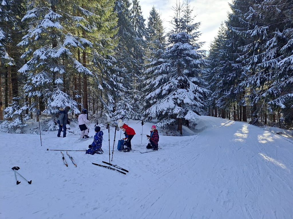 běžkování