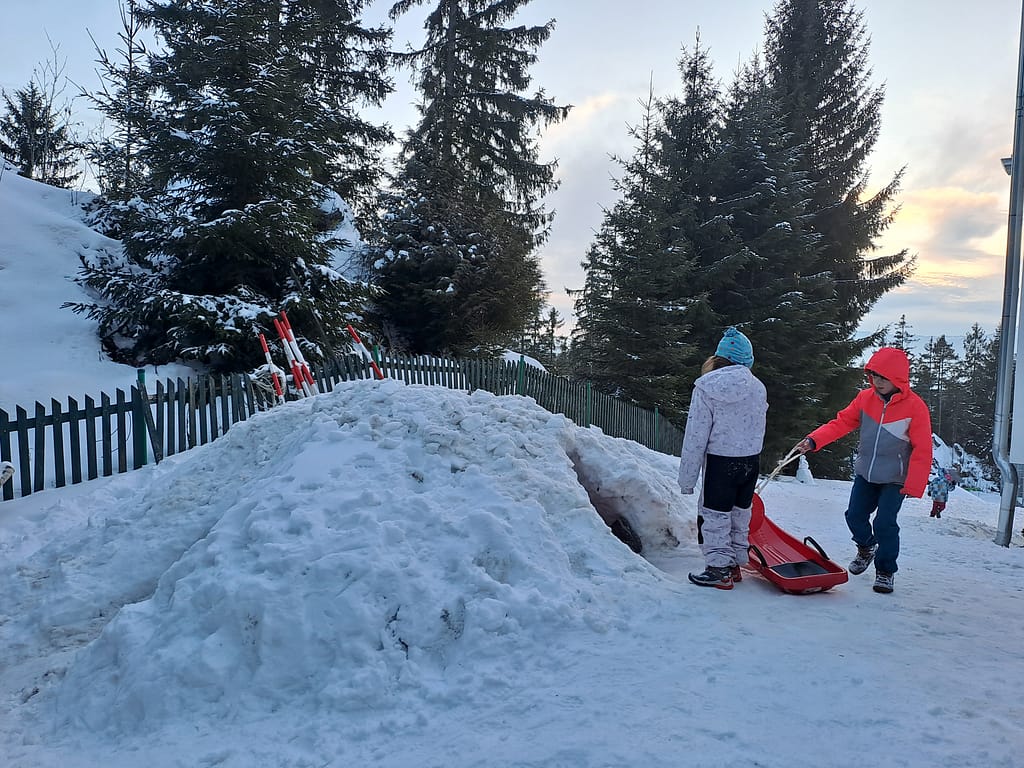dovádění na sněhu