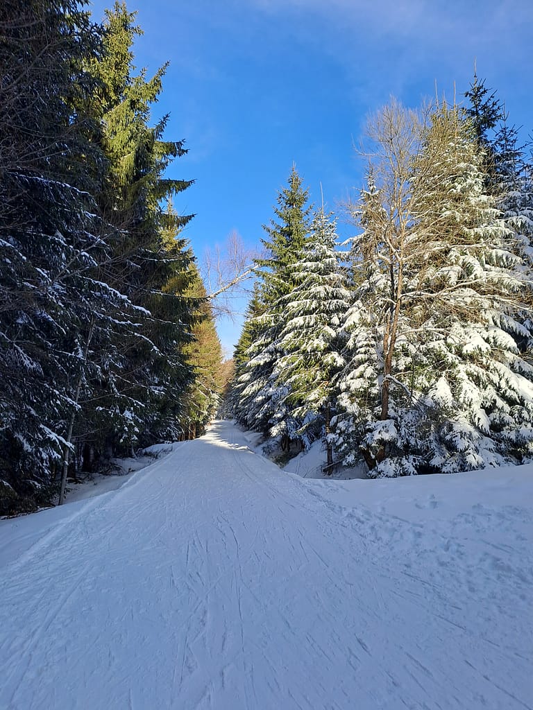 běžkařská stopa