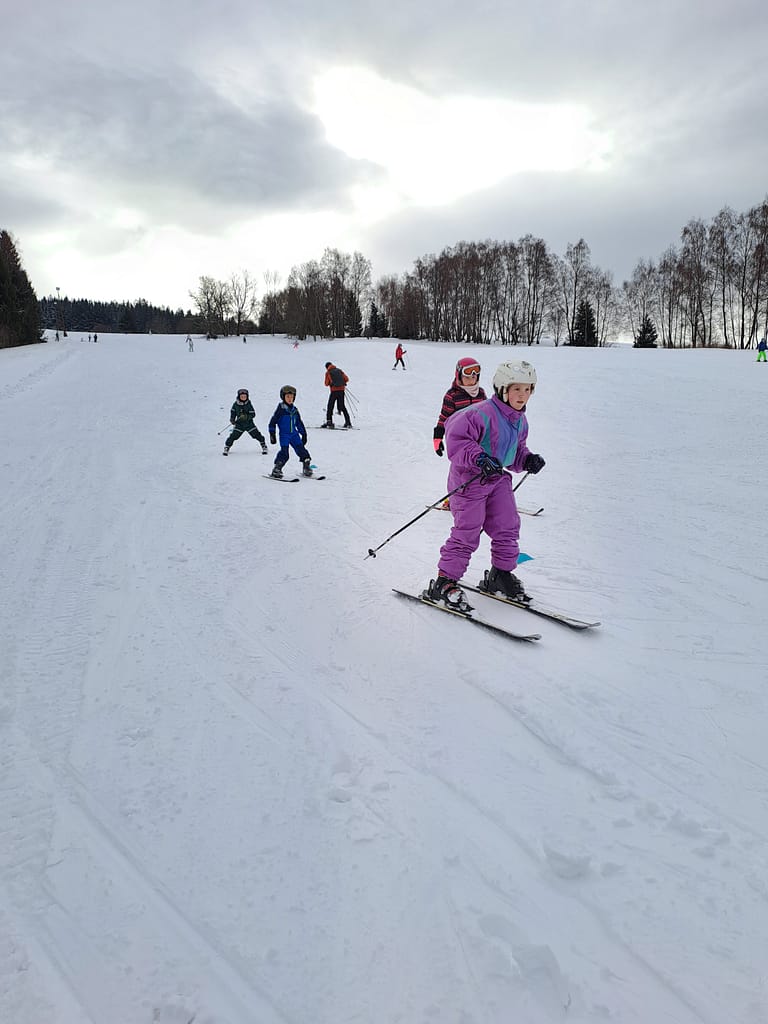 lyžování